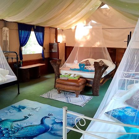 Fully Furnished Family Jungle Tent, Latino Glamping Paquera Esterno foto