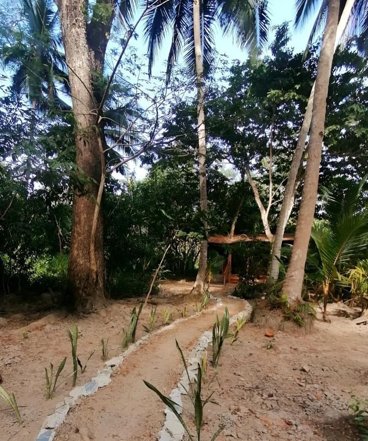 Fully Furnished Family Jungle Tent, Latino Glamping Paquera Esterno foto