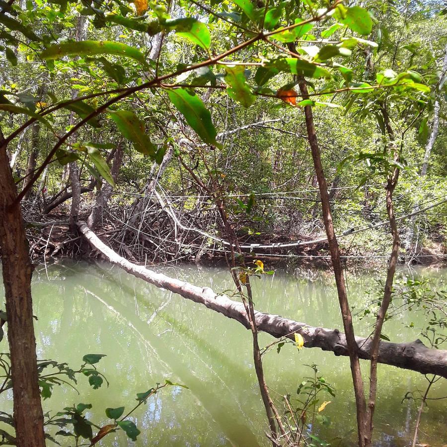 Fully Furnished Family Jungle Tent, Latino Glamping Paquera Esterno foto