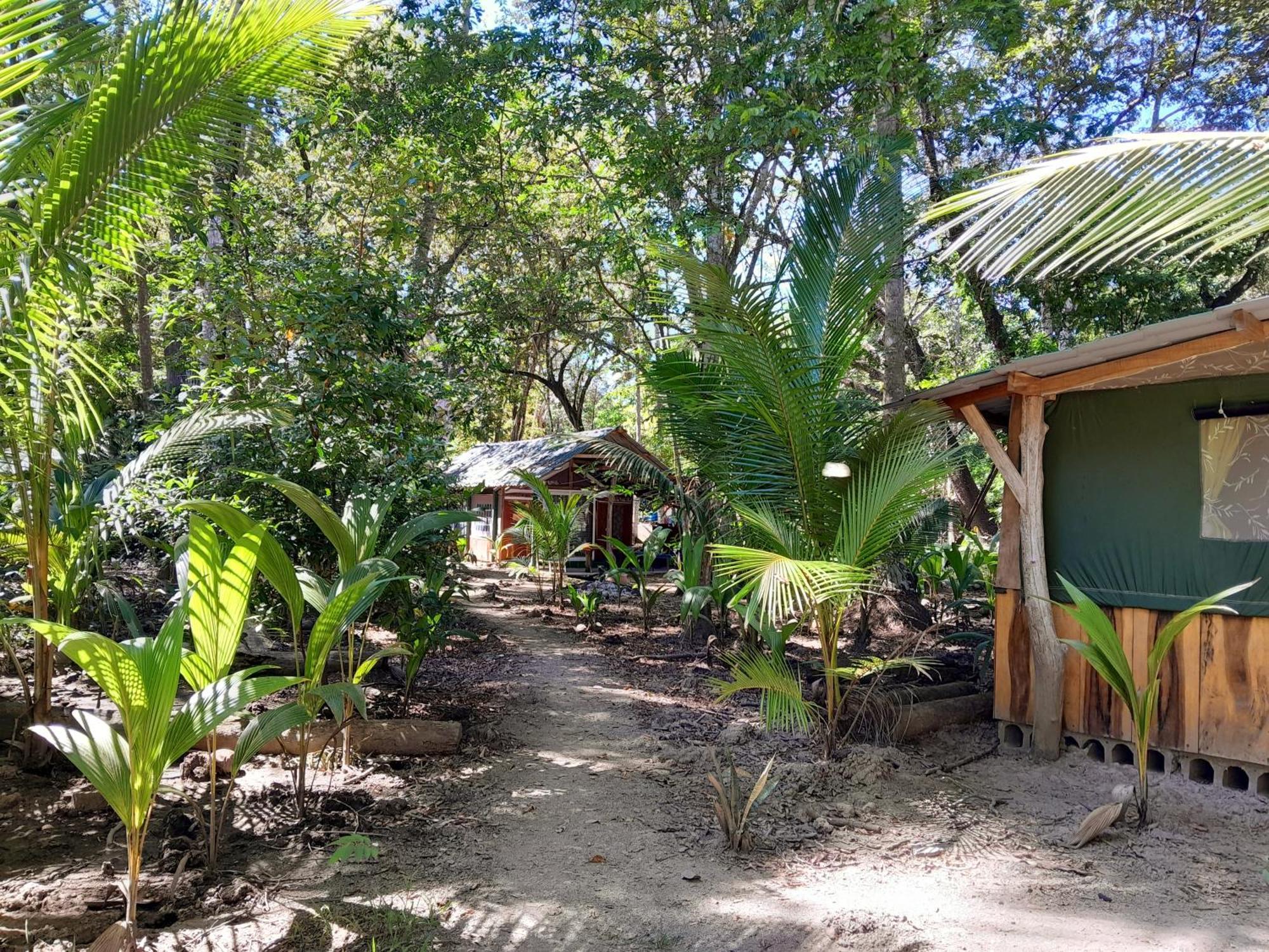 Fully Furnished Family Jungle Tent, Latino Glamping Paquera Esterno foto