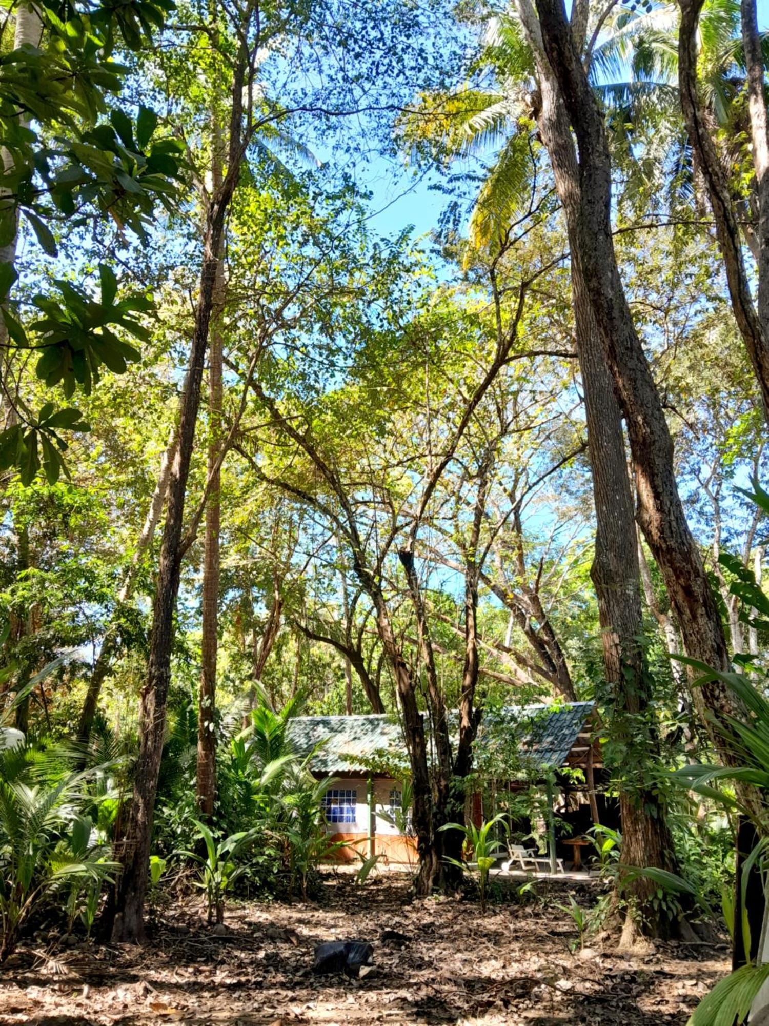 Fully Furnished Family Jungle Tent, Latino Glamping Paquera Esterno foto