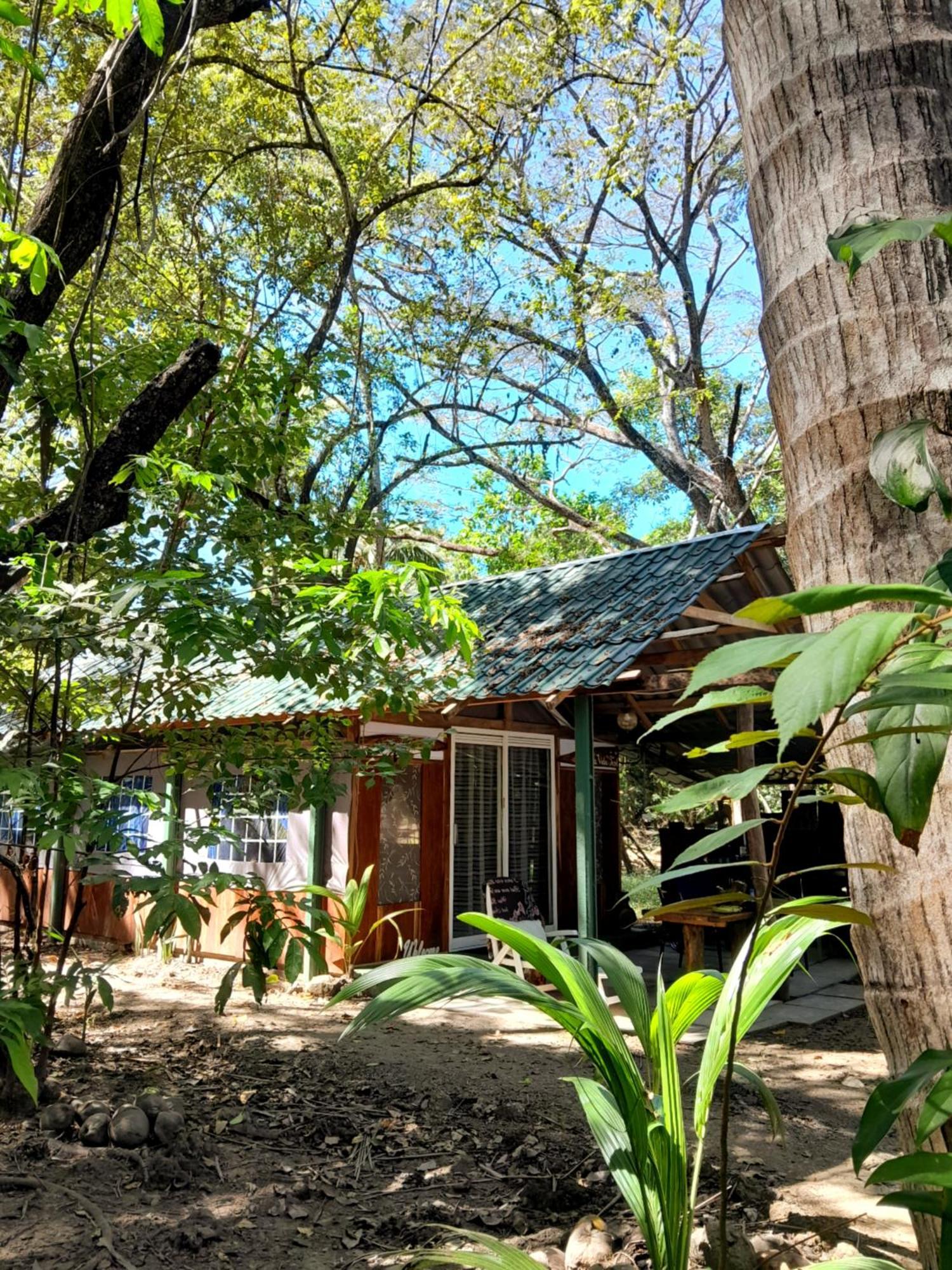 Fully Furnished Family Jungle Tent, Latino Glamping Paquera Esterno foto
