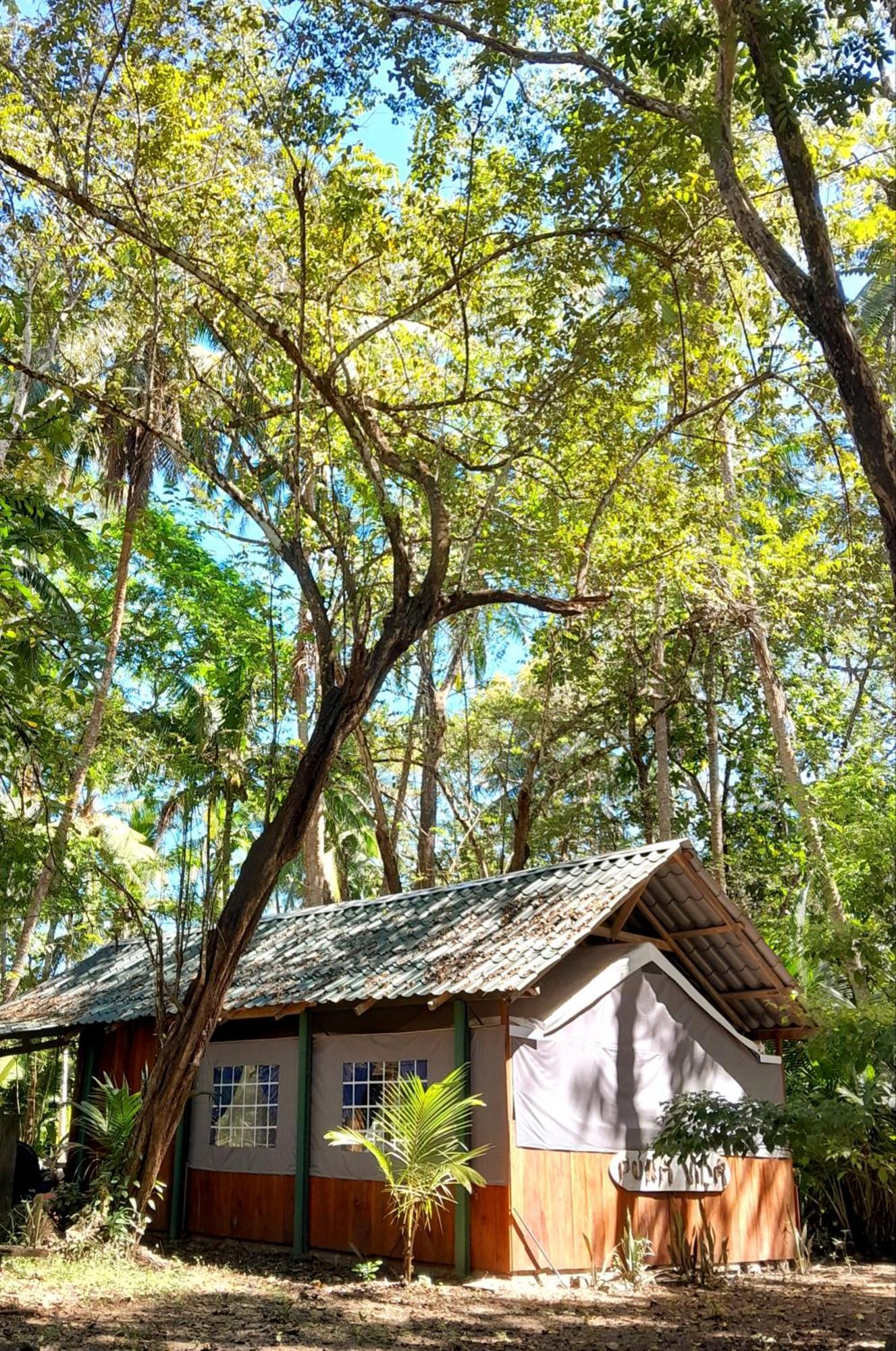 Fully Furnished Family Jungle Tent, Latino Glamping Paquera Esterno foto