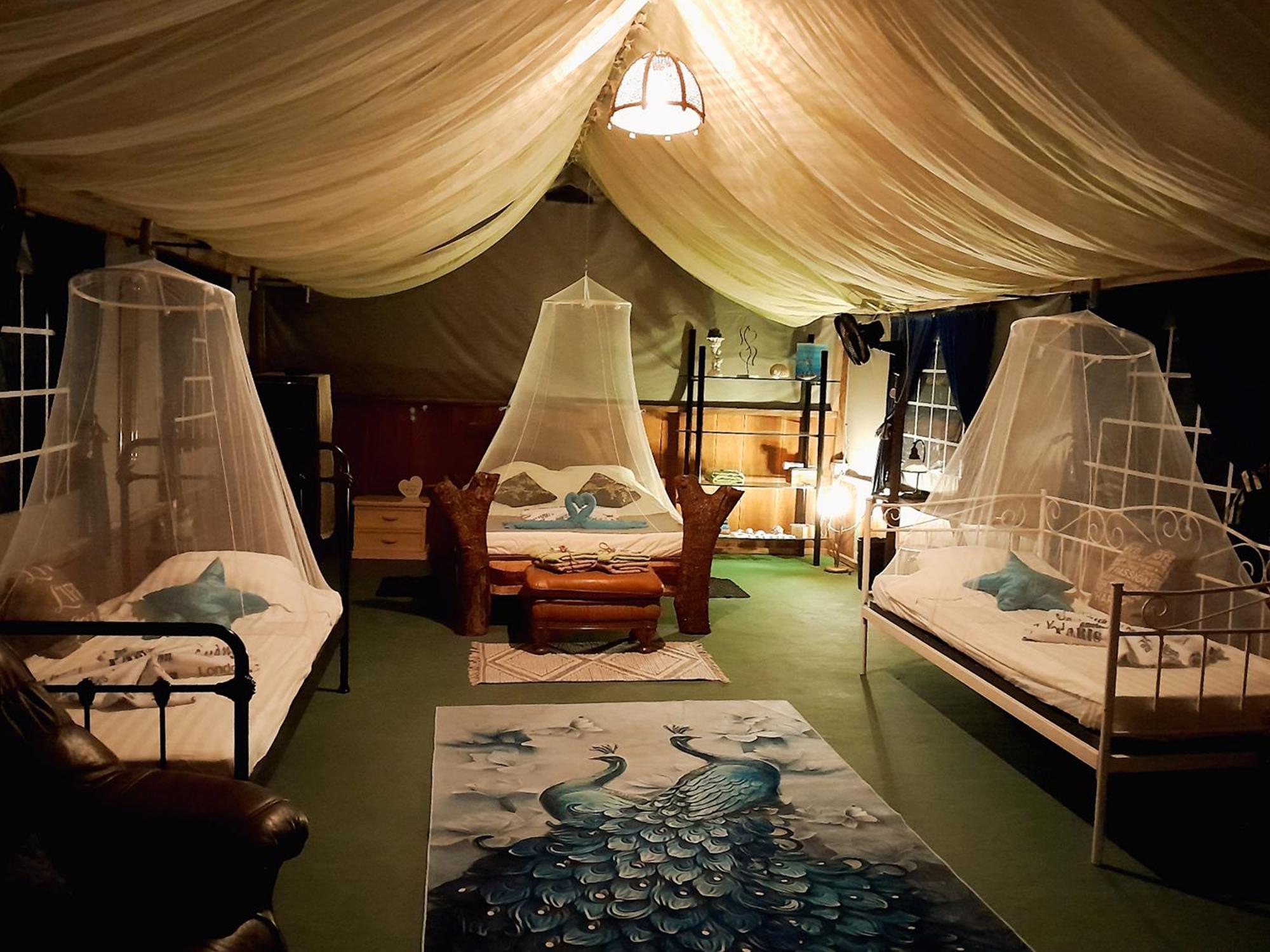 Fully Furnished Family Jungle Tent, Latino Glamping Paquera Esterno foto