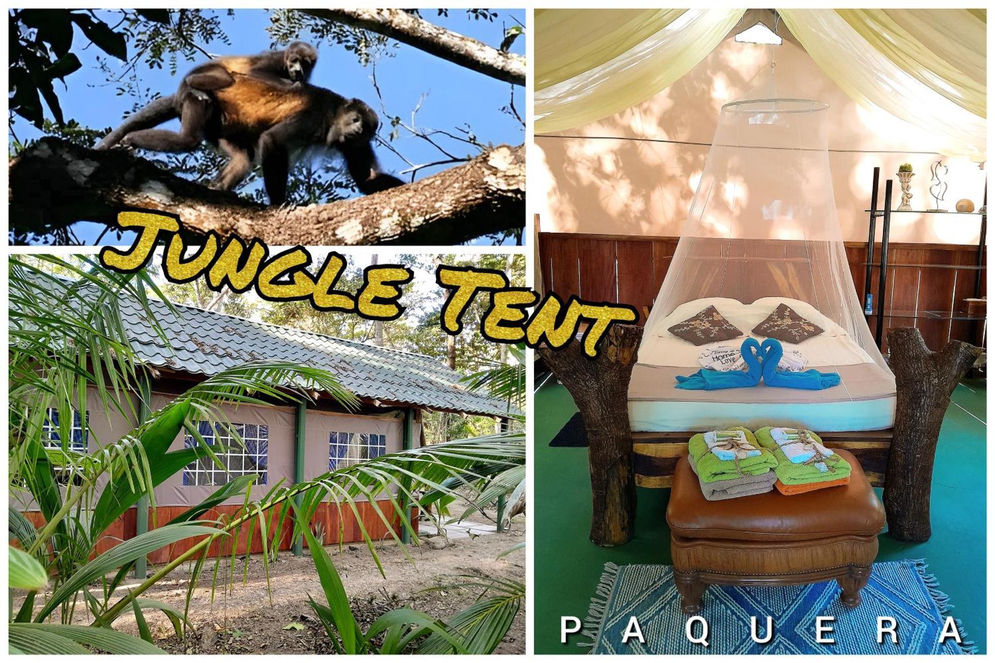 Fully Furnished Family Jungle Tent, Latino Glamping Paquera Esterno foto
