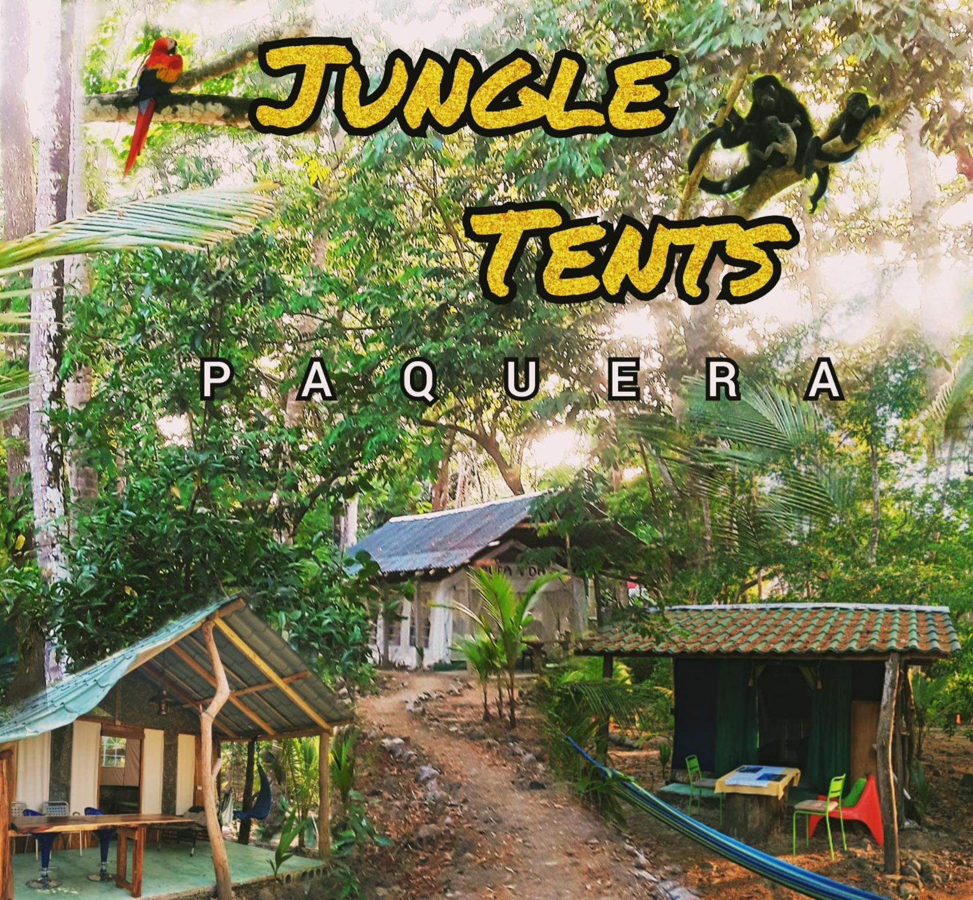 Fully Furnished Family Jungle Tent, Latino Glamping Paquera Esterno foto