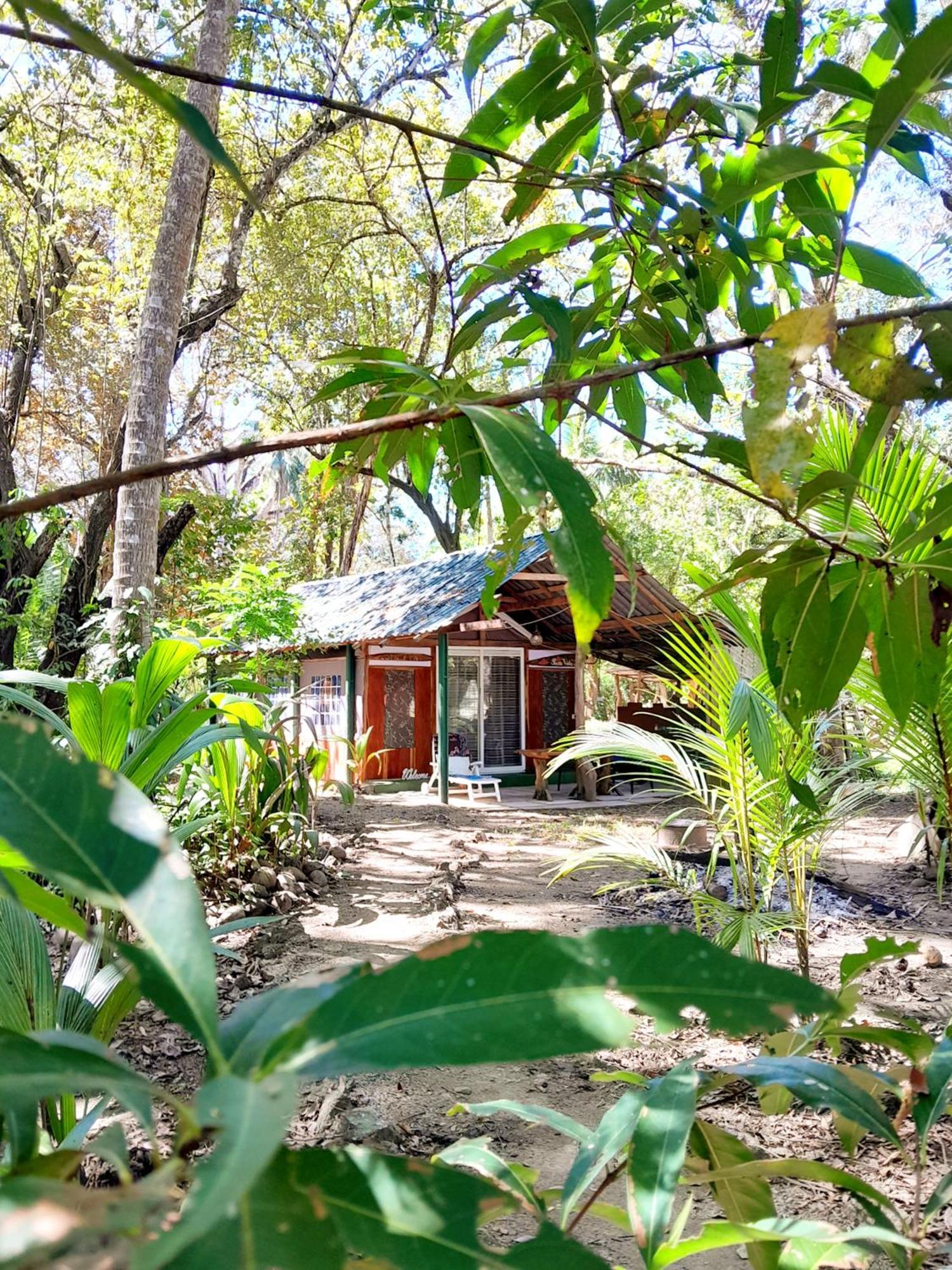 Fully Furnished Family Jungle Tent, Latino Glamping Paquera Esterno foto