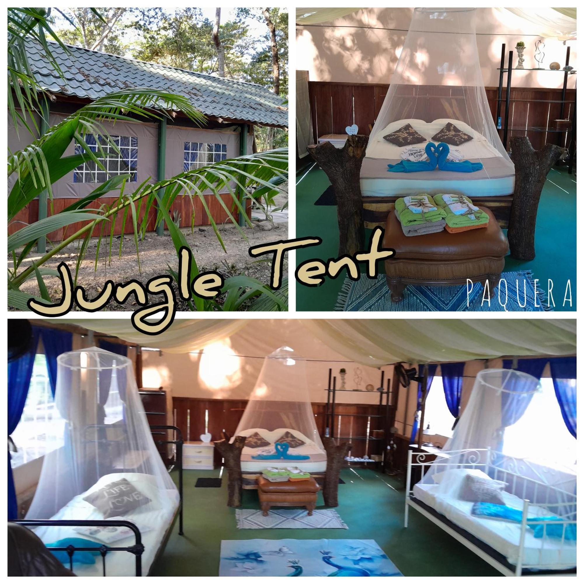 Fully Furnished Family Jungle Tent, Latino Glamping Paquera Esterno foto