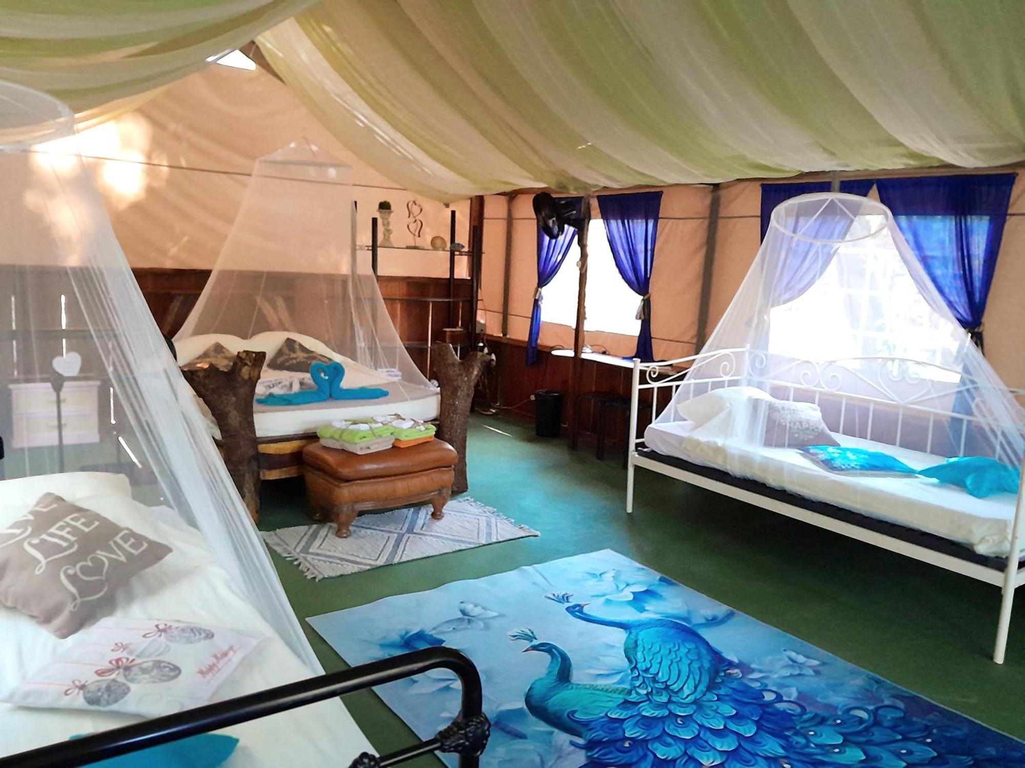 Fully Furnished Family Jungle Tent, Latino Glamping Paquera Esterno foto