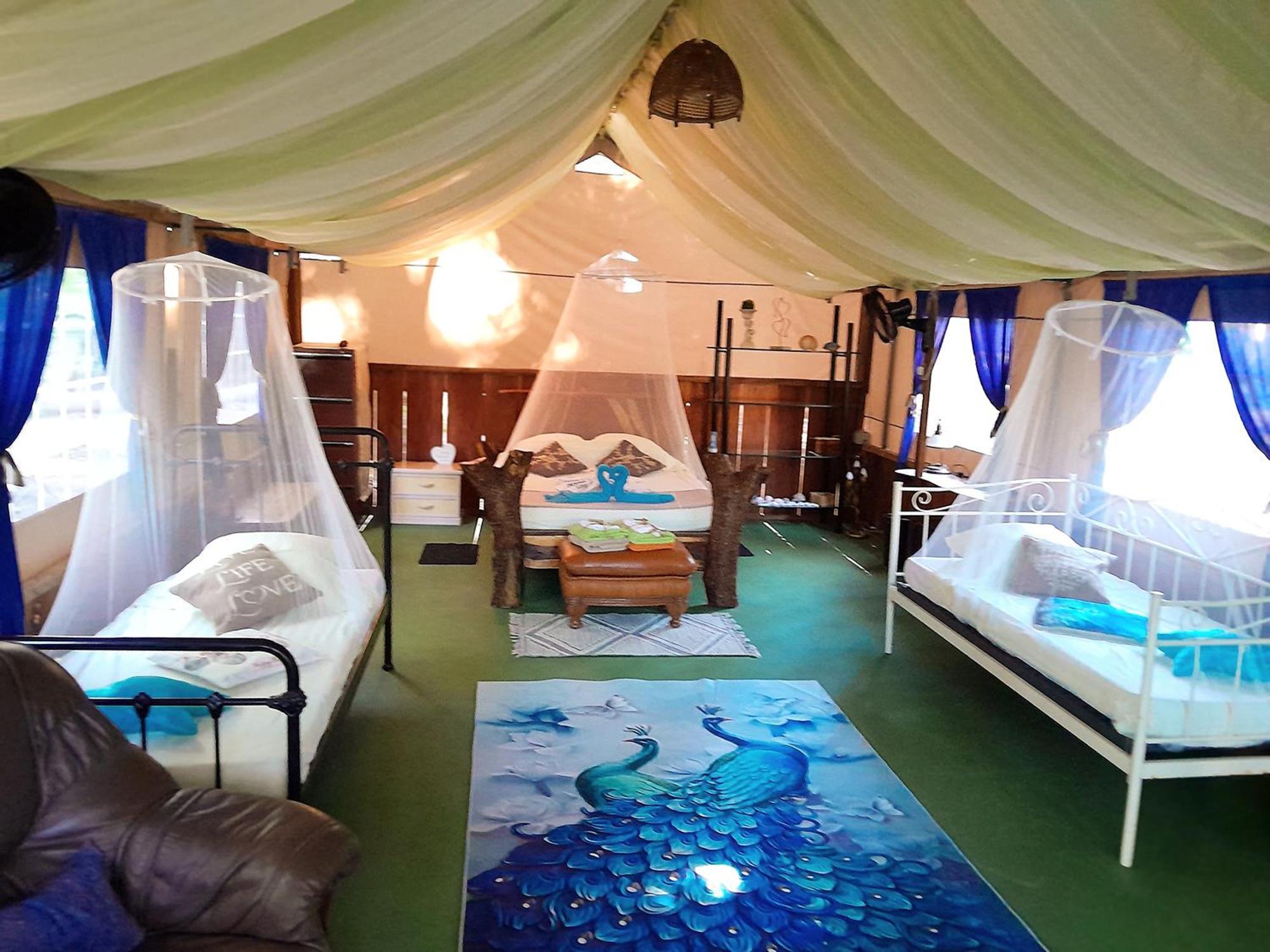 Fully Furnished Family Jungle Tent, Latino Glamping Paquera Esterno foto