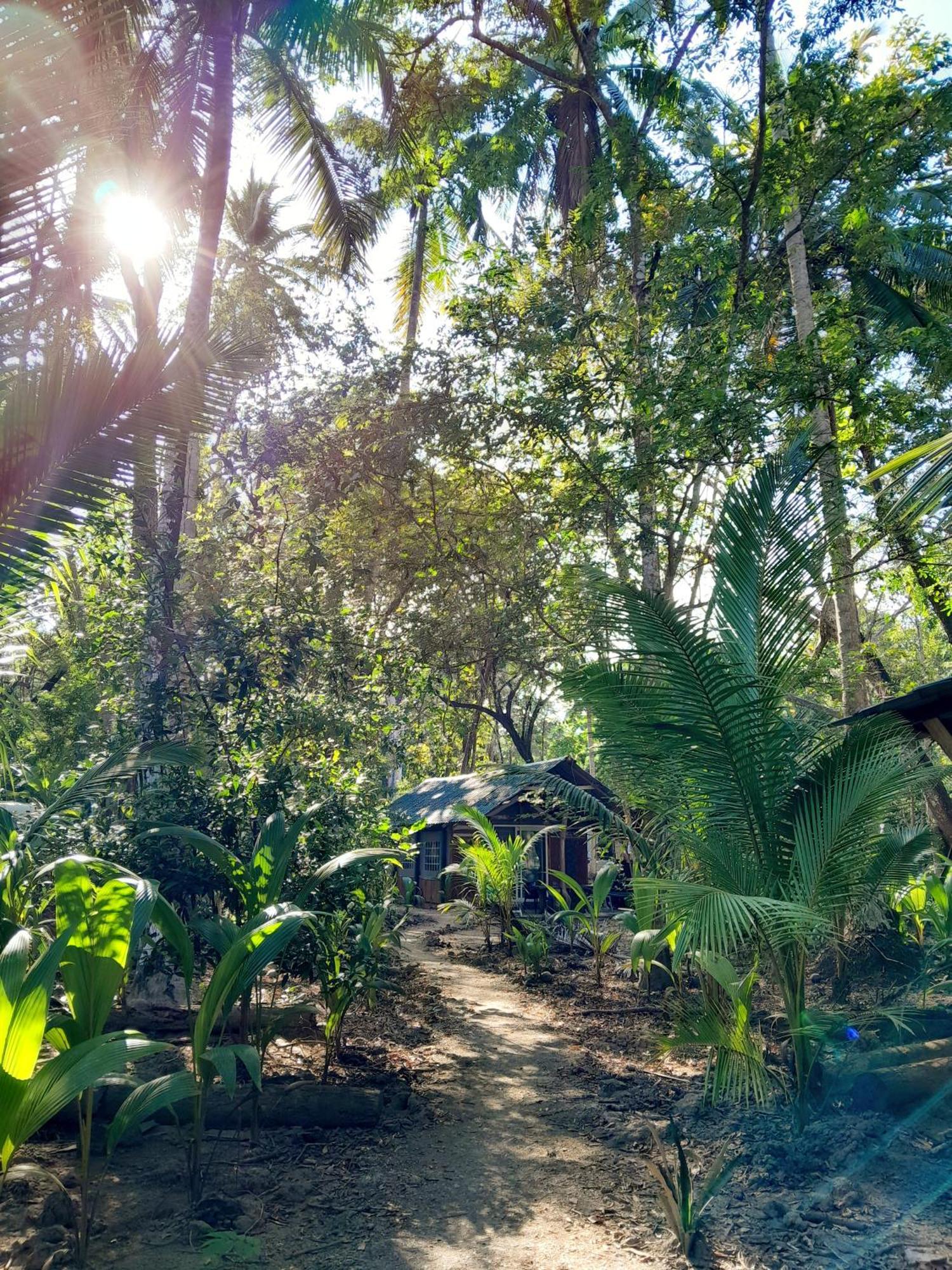 Fully Furnished Family Jungle Tent, Latino Glamping Paquera Esterno foto